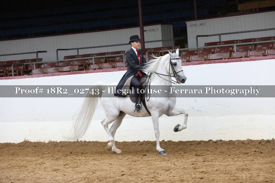 Proof 18R2_02743