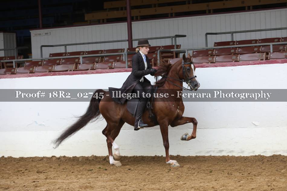 Proof 18R2_02745