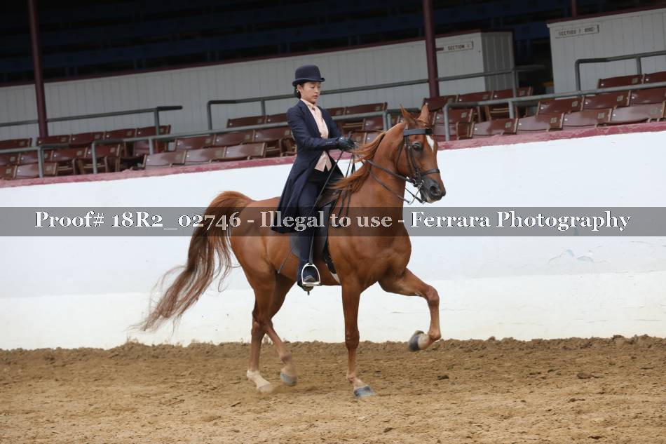 Proof 18R2_02746
