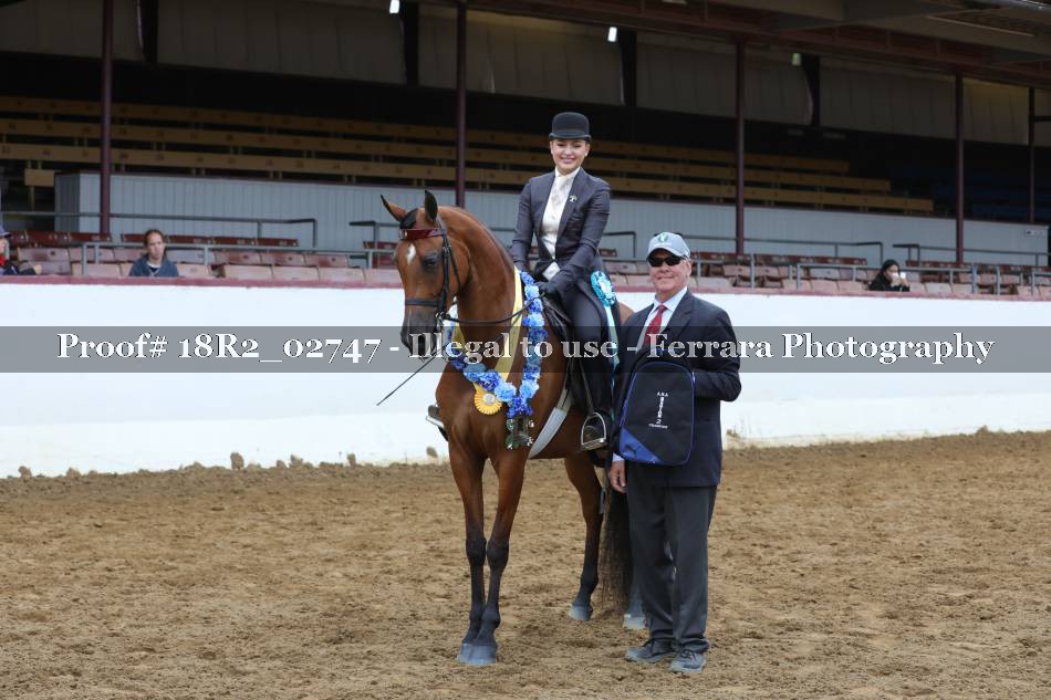 Proof 18R2_02747