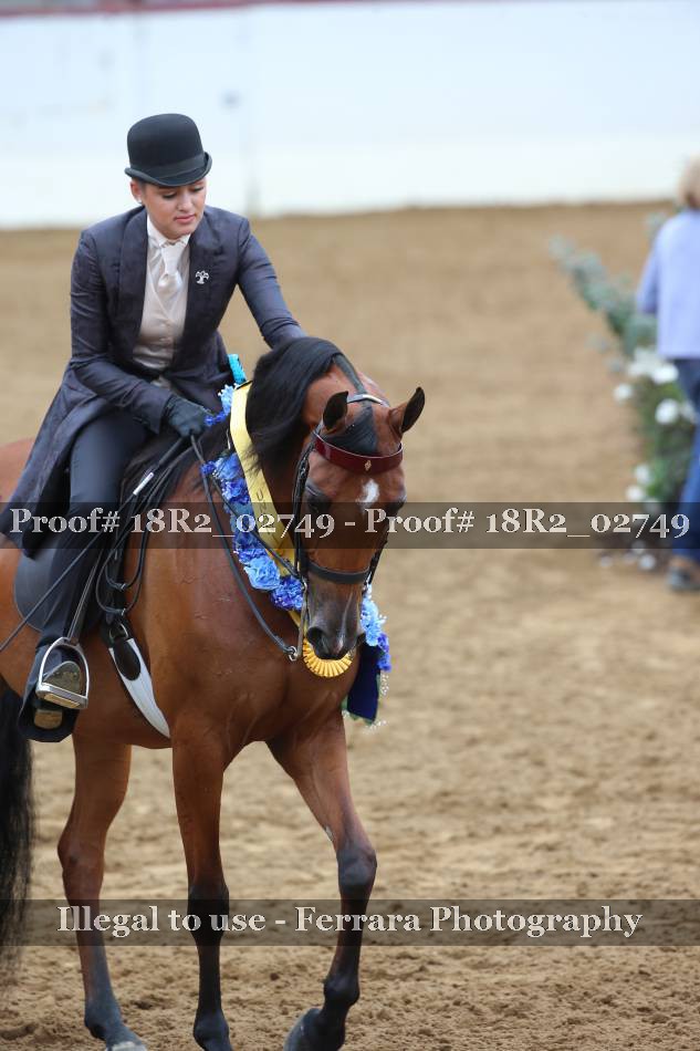 Proof 18R2_02749