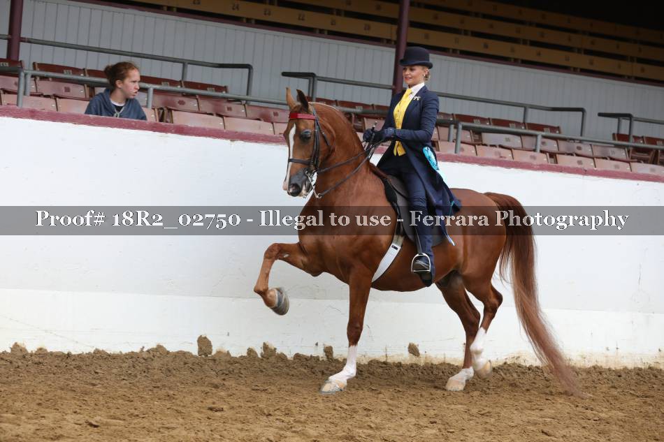 Proof 18R2_02750