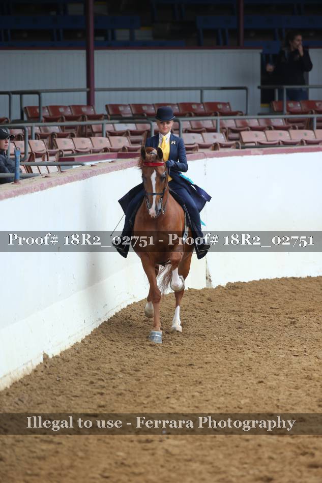 Proof 18R2_02751