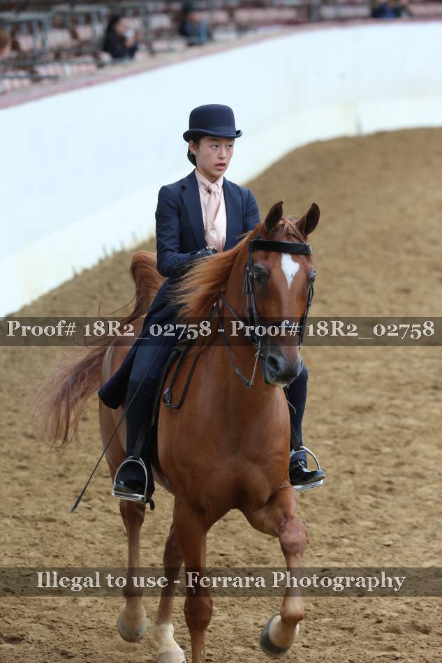 Proof 18R2_02758