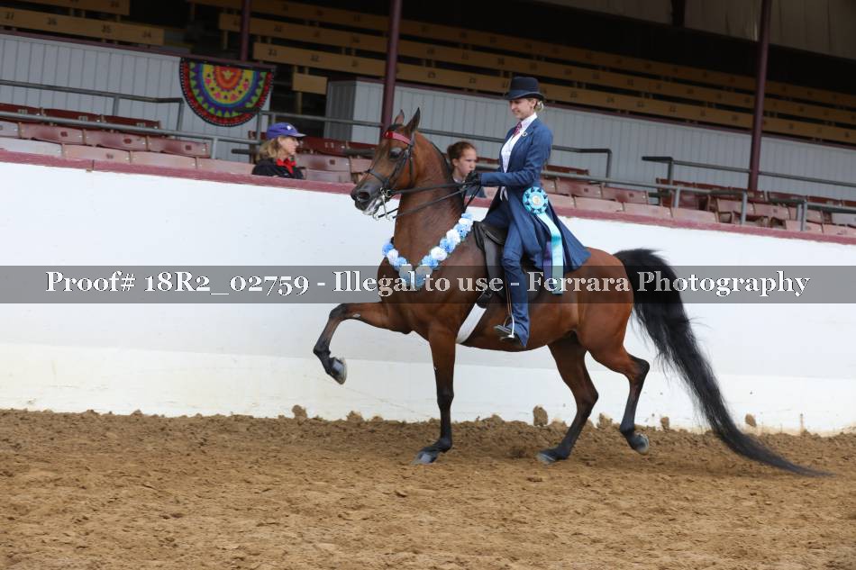 Proof 18R2_02759
