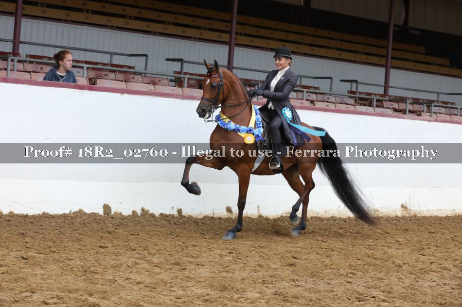 Proof 18R2_02760
