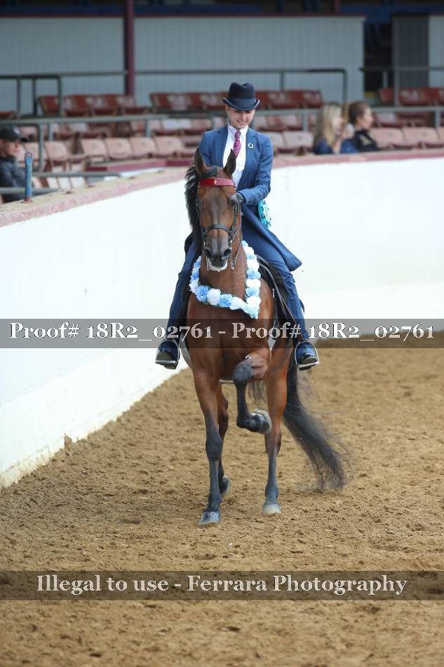 Proof 18R2_02761