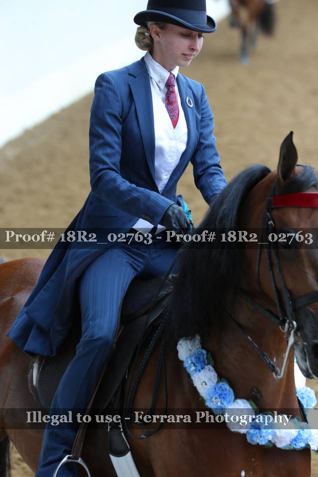 Proof 18R2_02763