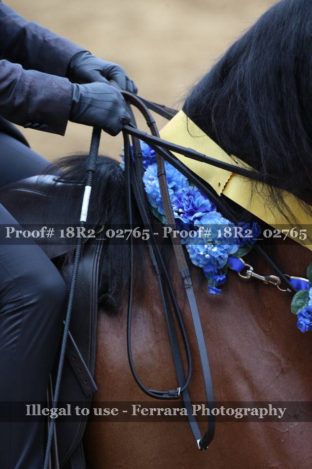 Proof 18R2_02765