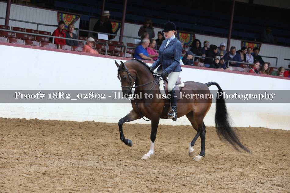 Proof 18R2_02802