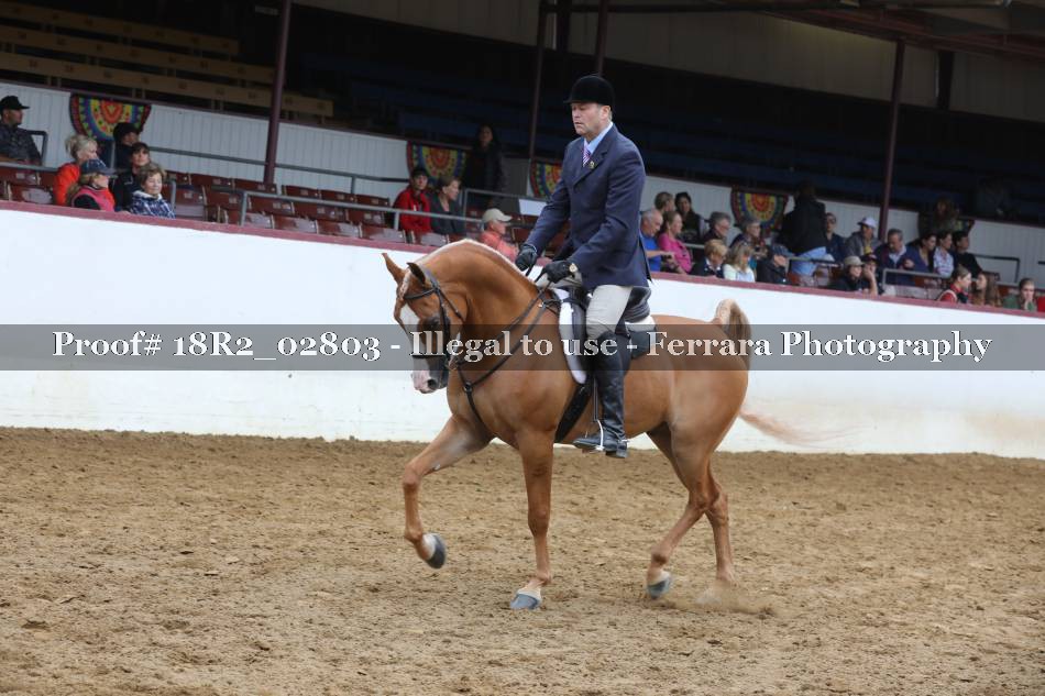 Proof 18R2_02803