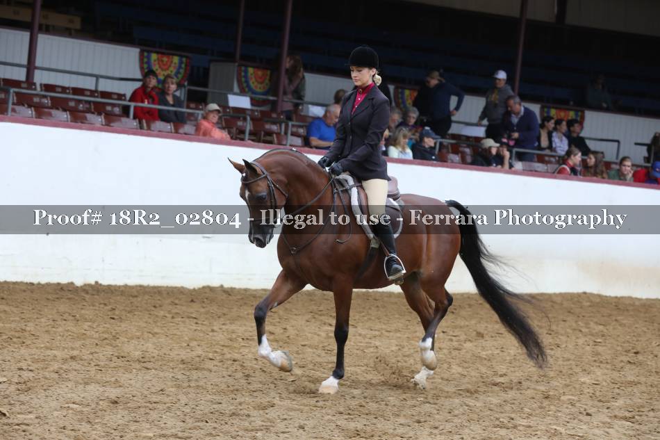 Proof 18R2_02804