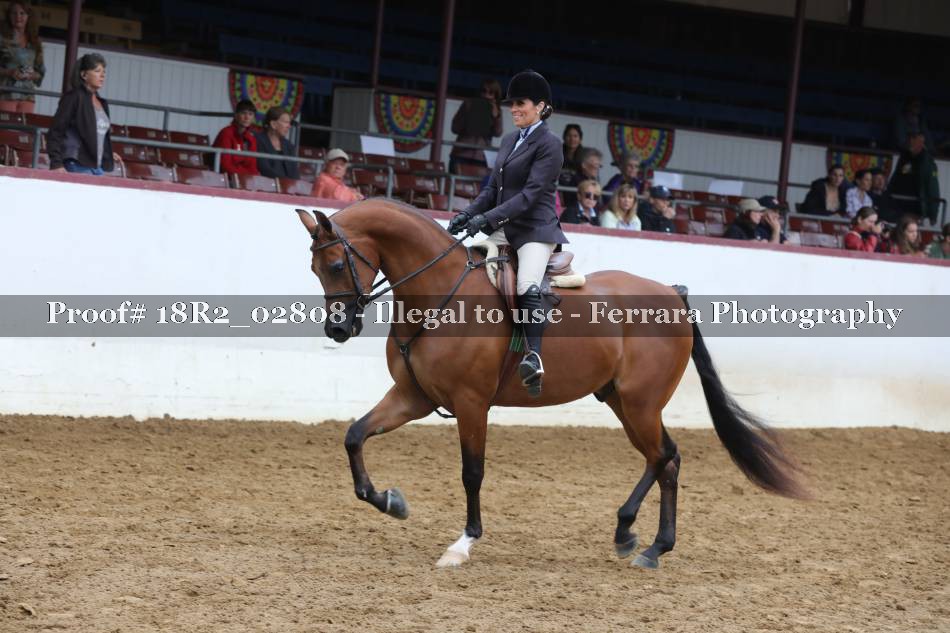 Proof 18R2_02808