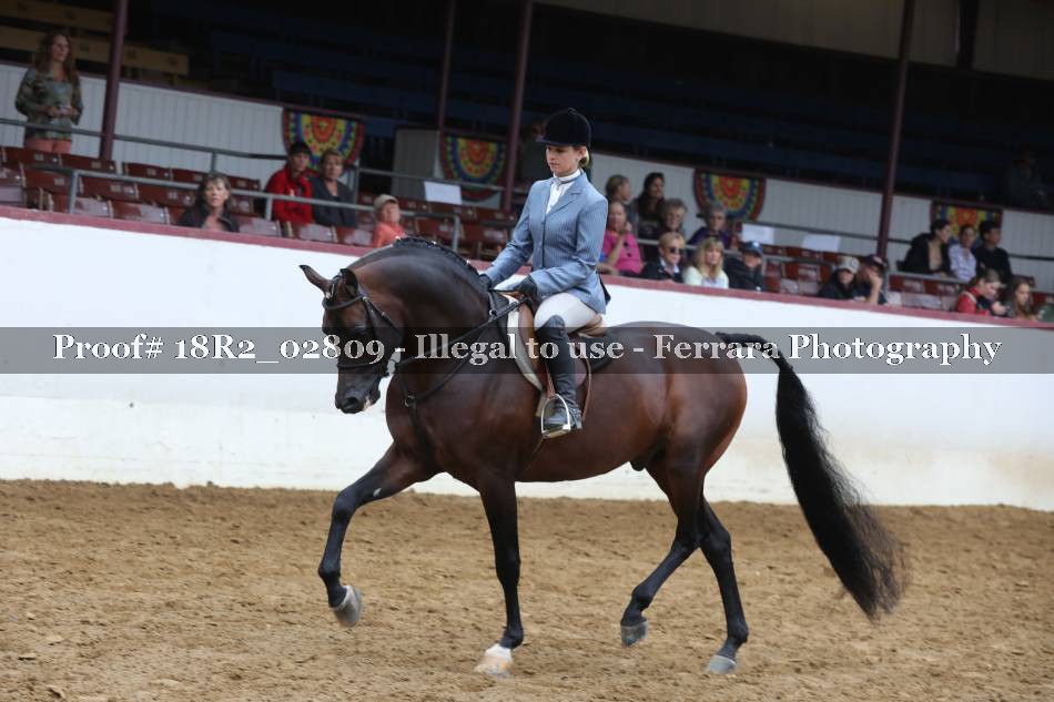 Proof 18R2_02809
