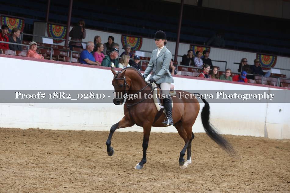 Proof 18R2_02810