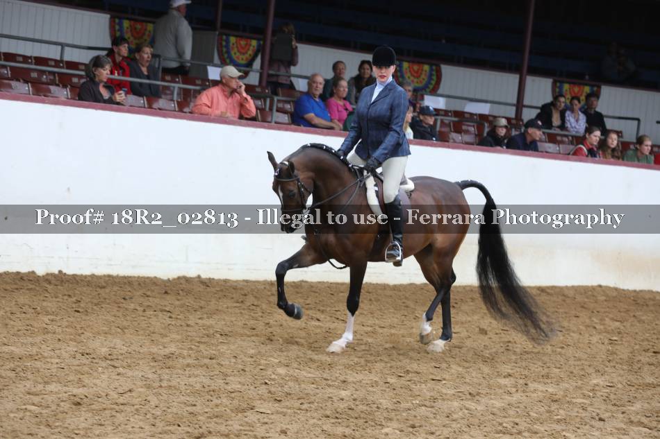 Proof 18R2_02813