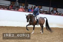 18R2_02813 proof