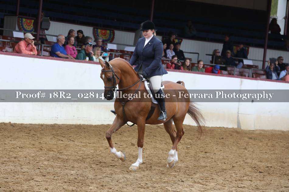 Proof 18R2_02814
