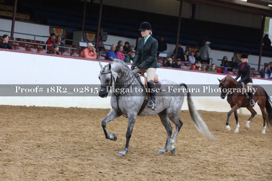 Proof 18R2_02815