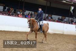 18R2_02817 proof