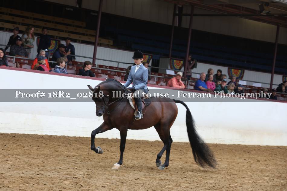 Proof 18R2_02818