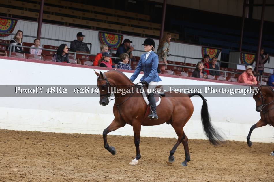 Proof 18R2_02819