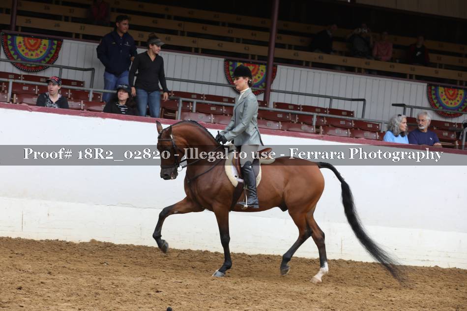 Proof 18R2_02820