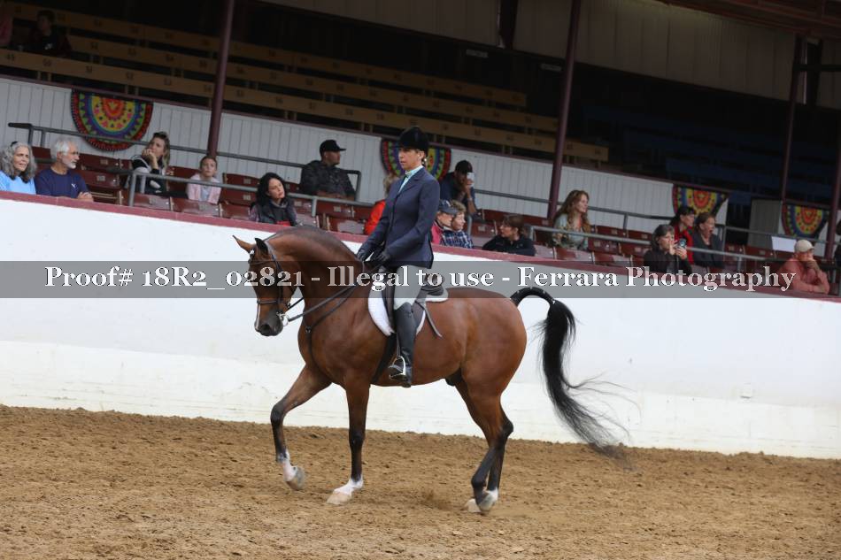 Proof 18R2_02821