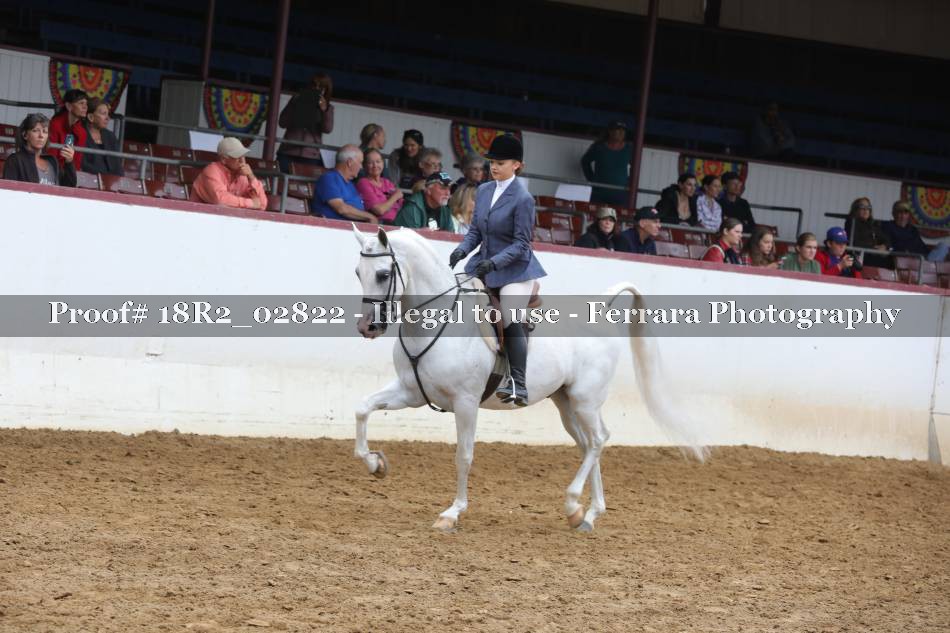 Proof 18R2_02822
