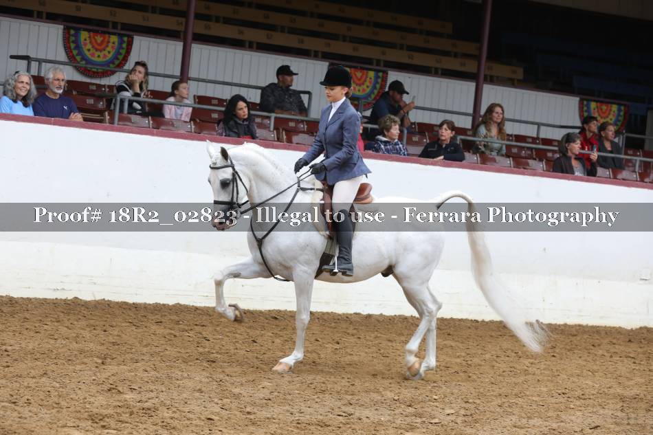Proof 18R2_02823