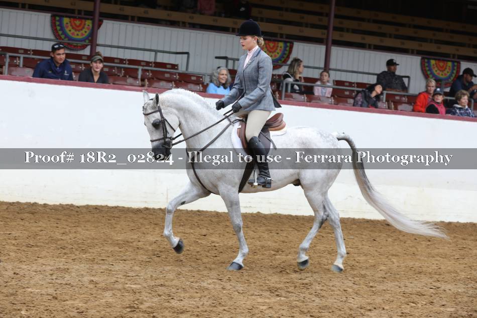 Proof 18R2_02824