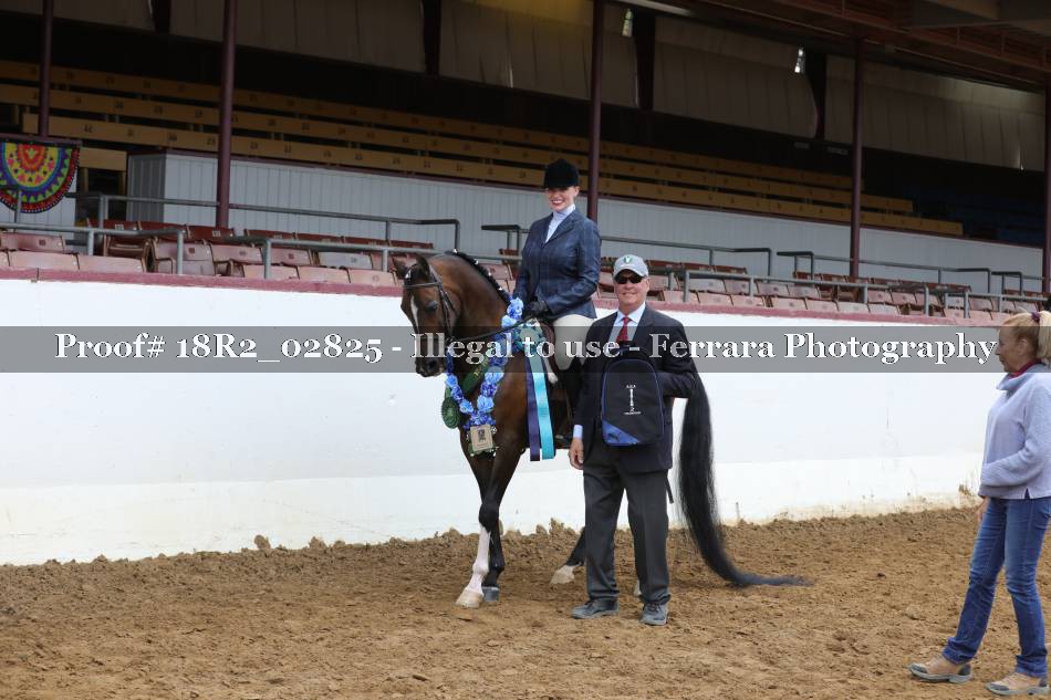 Proof 18R2_02825