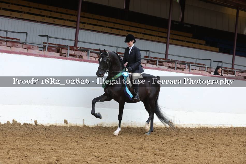 Proof 18R2_02826