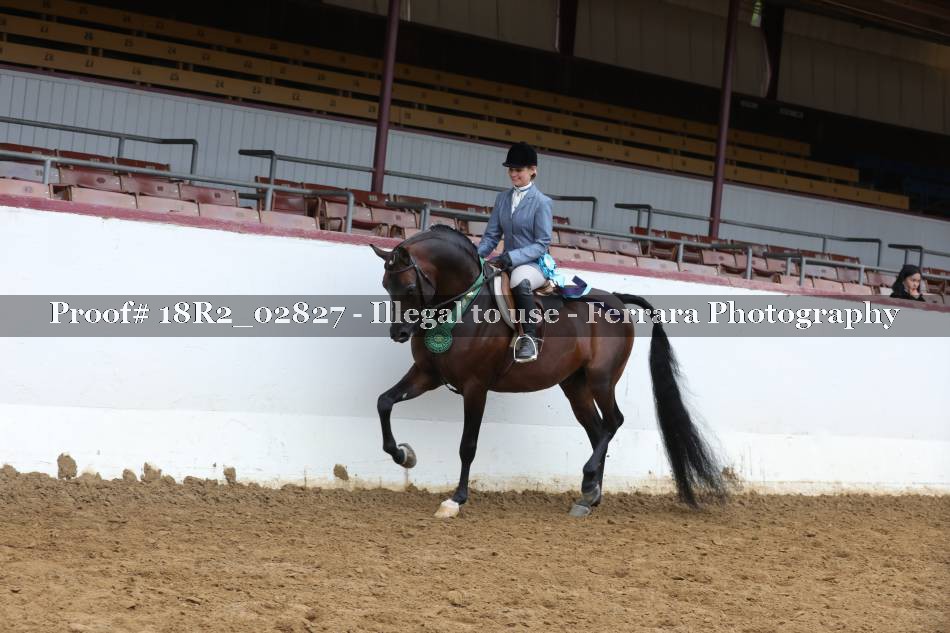 Proof 18R2_02827