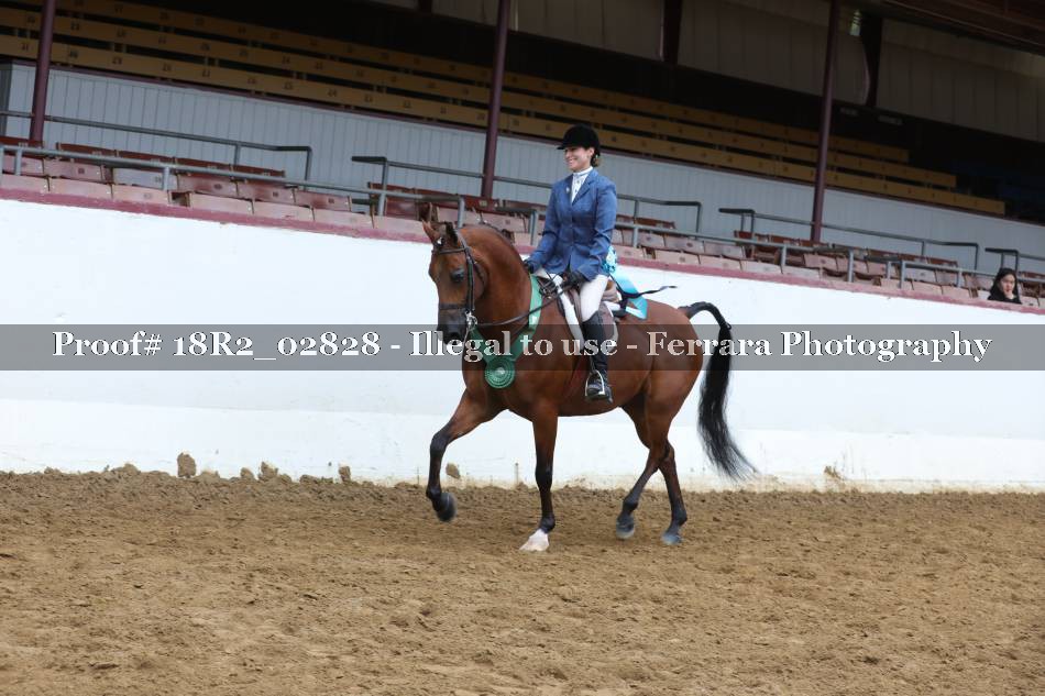 Proof 18R2_02828