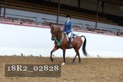 18R2_02828 proof