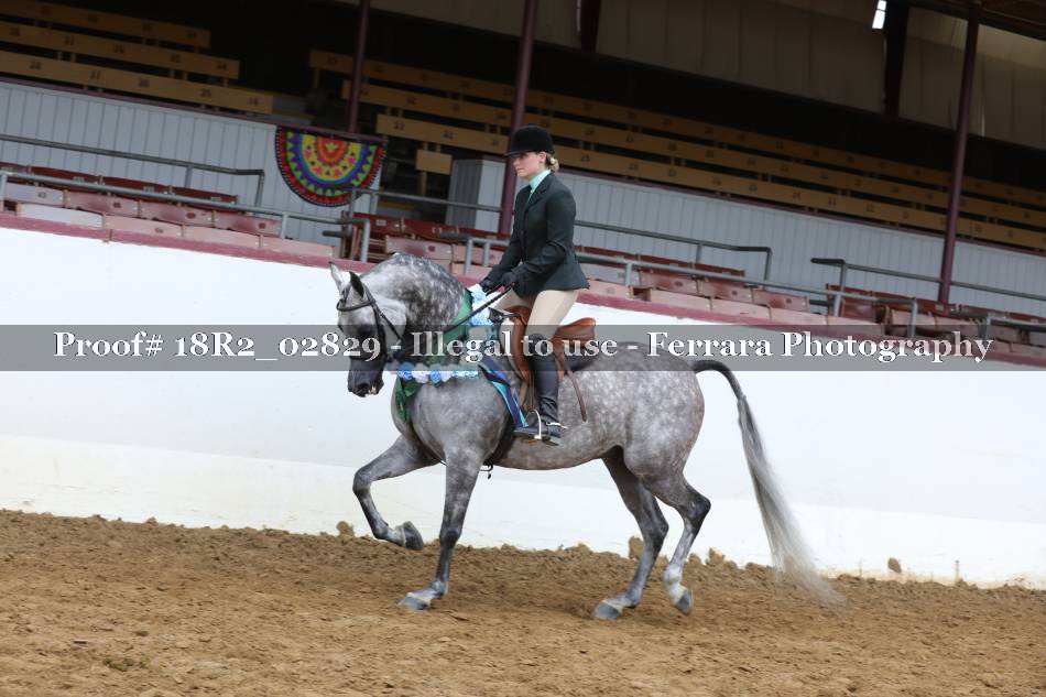 Proof 18R2_02829