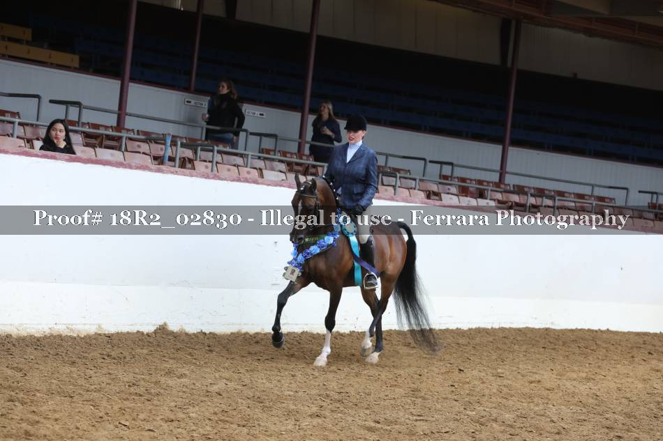 Proof 18R2_02830