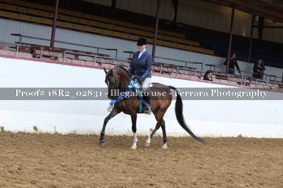 Proof 18R2_02831