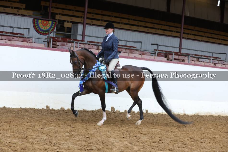 Proof 18R2_02832