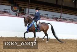 18R2_02832 proof