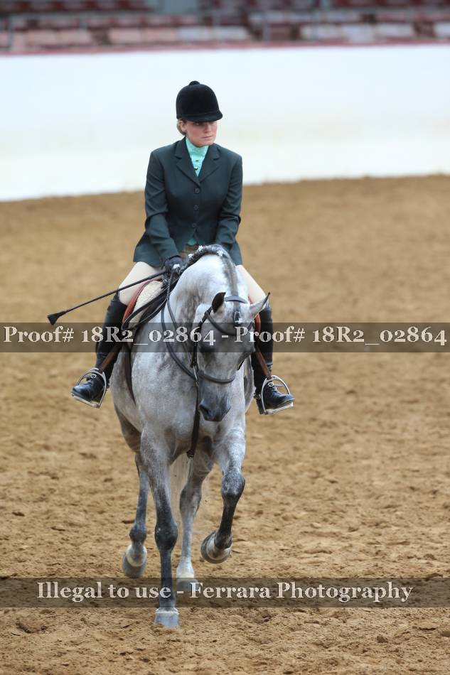 Proof 18R2_02864