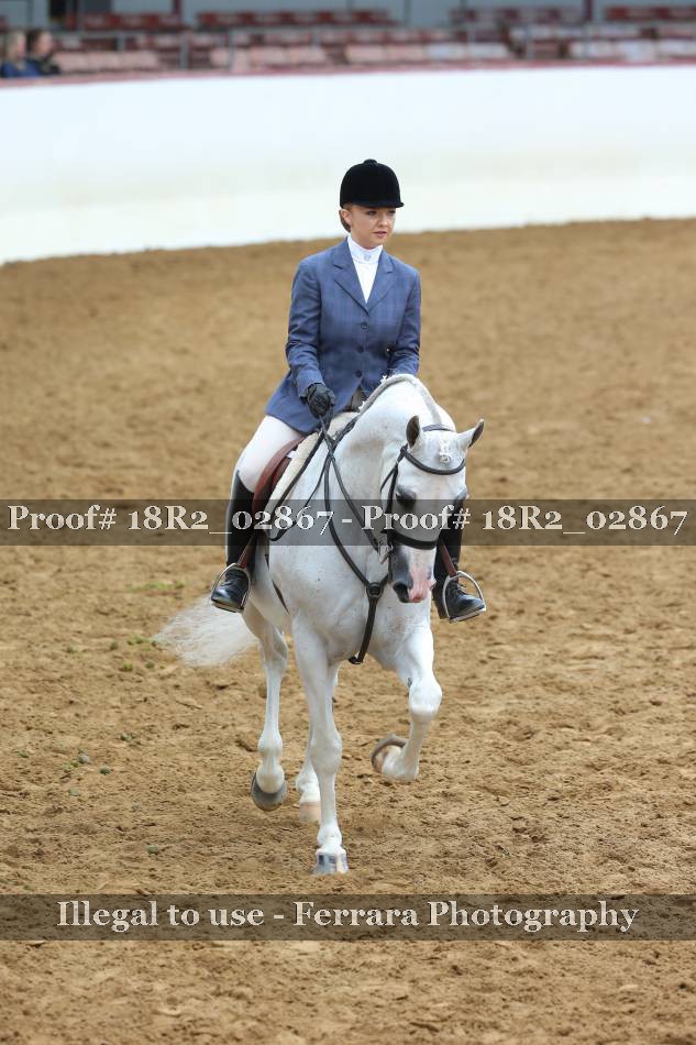 Proof 18R2_02867