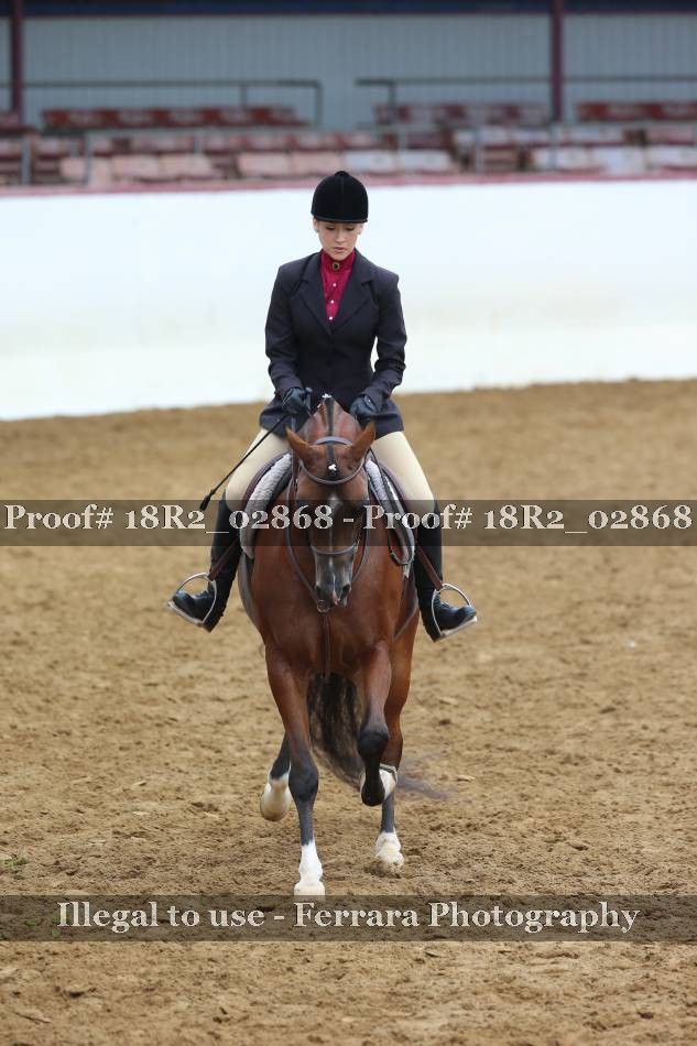 Proof 18R2_02868