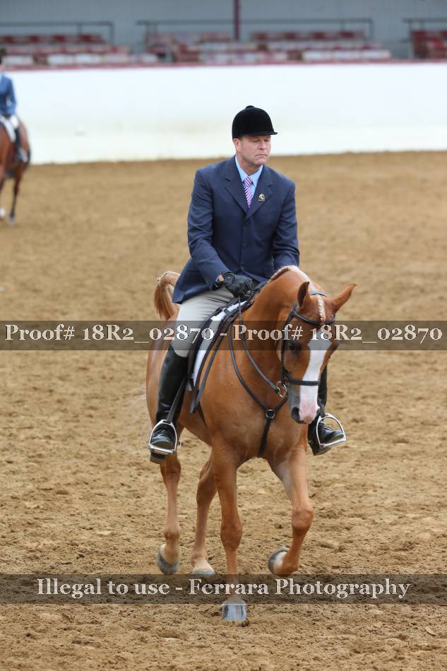 Proof 18R2_02870
