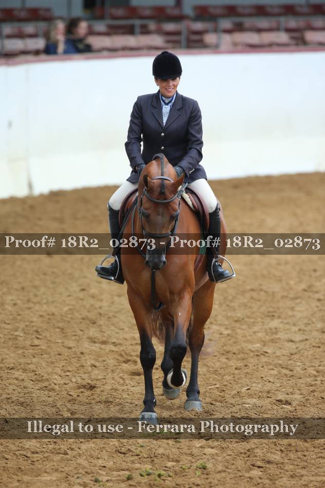 Proof 18R2_02873