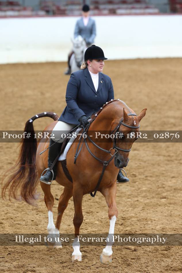 Proof 18R2_02876