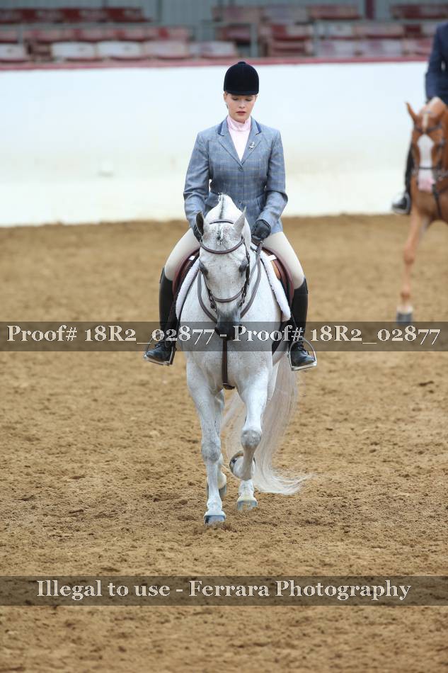 Proof 18R2_02877