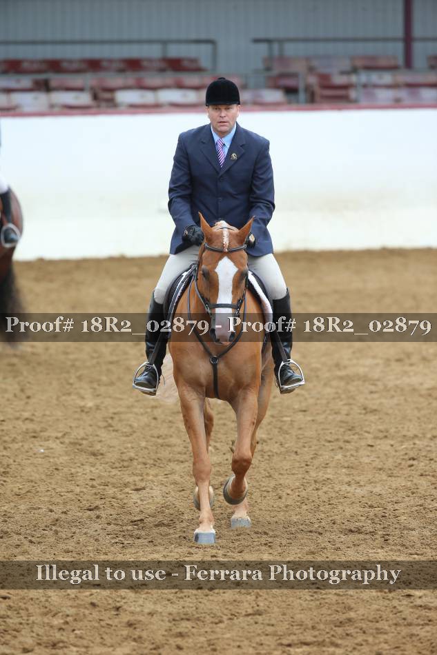 Proof 18R2_02879