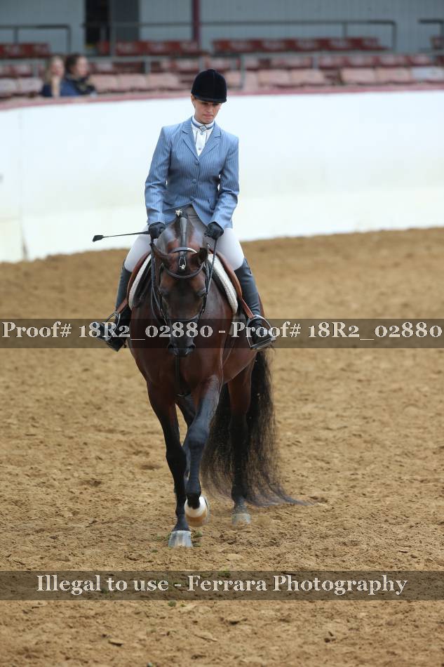 Proof 18R2_02880